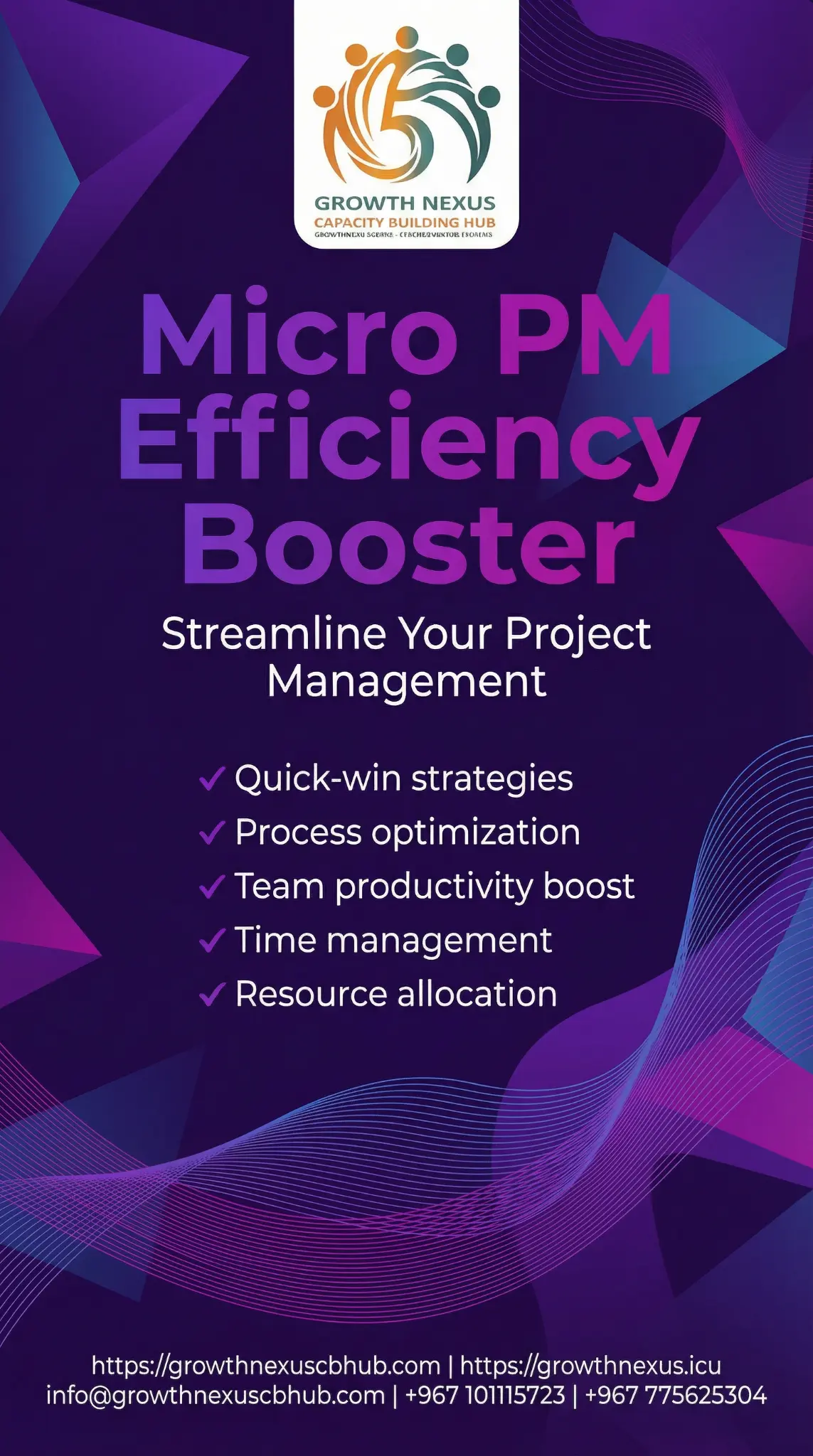 Micro PM Efficiency
